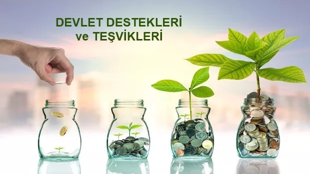 Devlet Hibe ve Teşvikleri